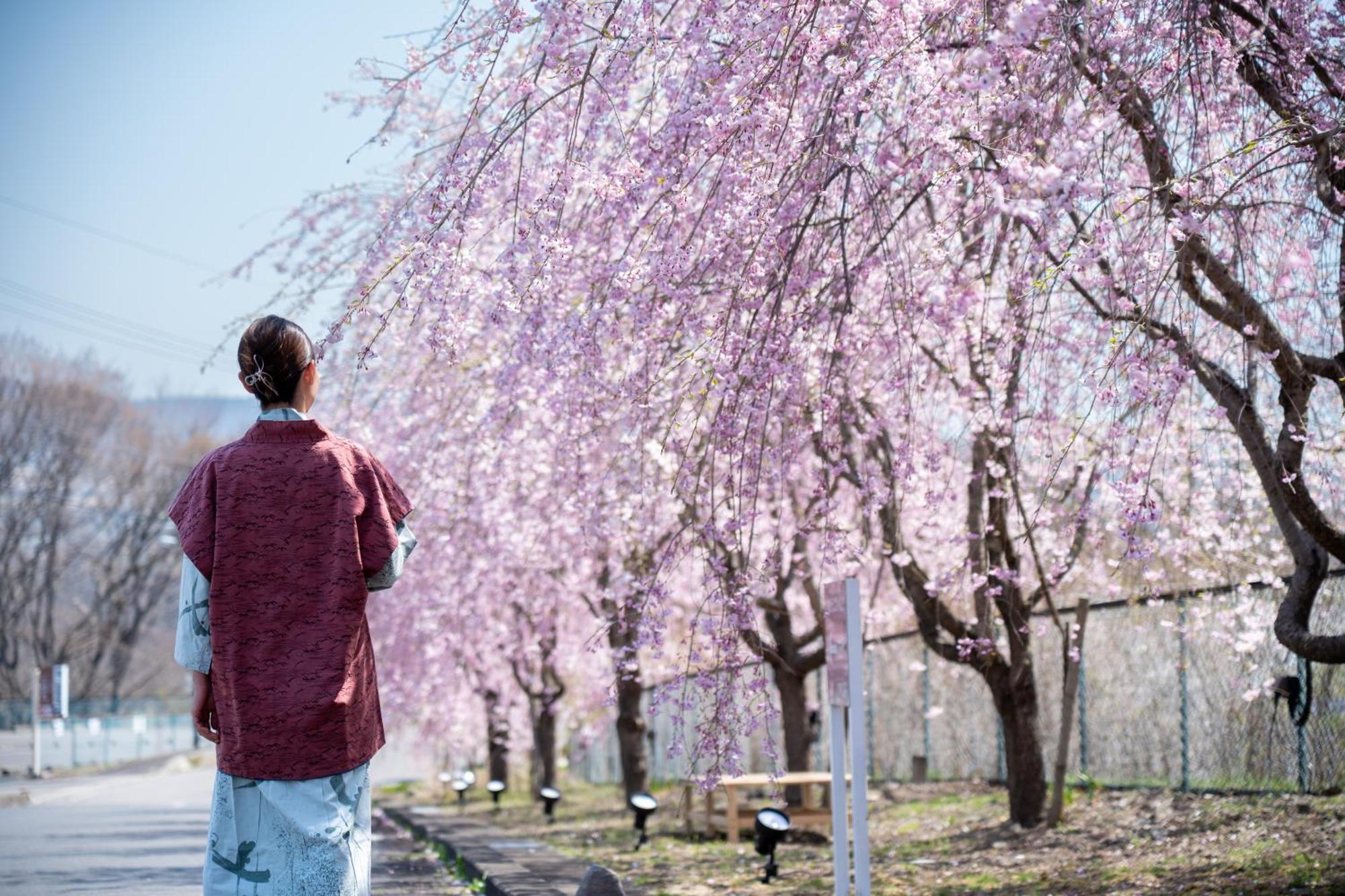 Nunohiki Onsen Komoro Esterno foto